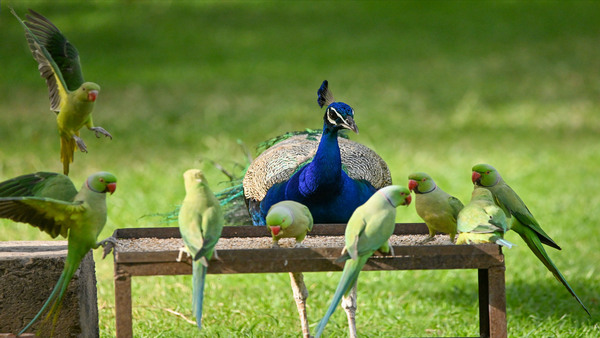  উত্তরবঙ্গের আবহাওয়া