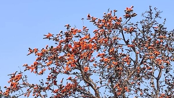 দক্ষিণবঙ্গের আবহাওয়া
