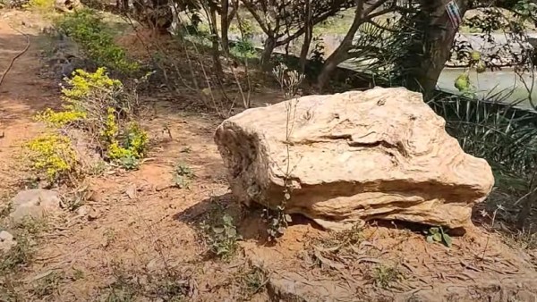 কী বলেন গবেষকরা