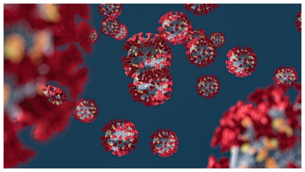 ভারতে নতুন করে করোনা সংক্রমণ! দায়ী ওমিক্রনের XBB.1.16 ভ্যারিয়েন্ট, ব্যাখ্যা একনজরে ভারতে নতুন করে করোনা সংক্রমণ! দায়ী ওমিক্রনের XBB.1.16 ভ্যারিয়েন্ট, ব্যাখ্যা একনজরে