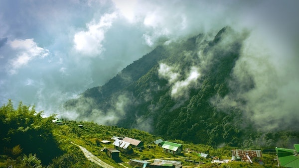 কী আছে দেখার