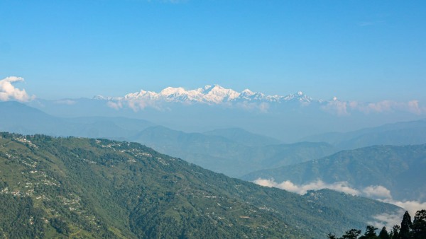 দাওয়াই পানি