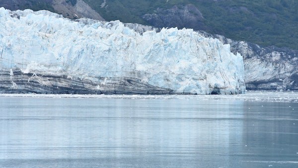 চিন্তিত বিজ্ঞানী মহল