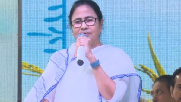  মমতার নিশানায় রাহুল