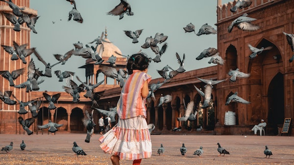 কী জানালেন গবেষকেরা