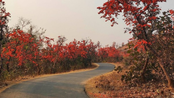 বসন্তে পুরুলিয়া বসন্তে পুরুলিয়া