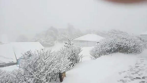 হঠাৎ পরিবর্তন হয়ে যায় শিলিগুড়ি ও পাহাড়ের আবহাওয়ায়