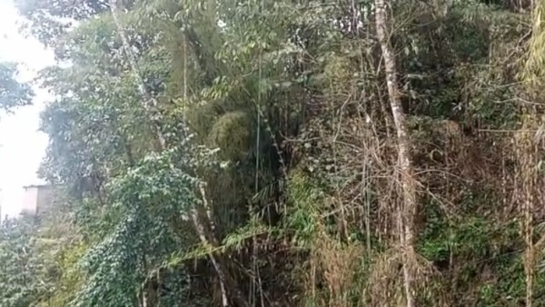 বজ্রবিদ্যুৎ-সহ বৃষ্টিপাত শুরু হয় পাহাড় ও সমতলে