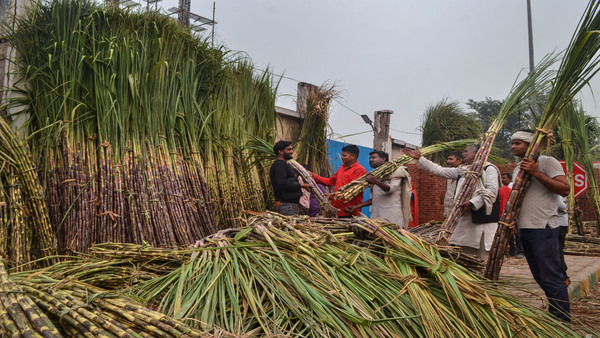 কৃষকদের জন্য পদক্ষেপ