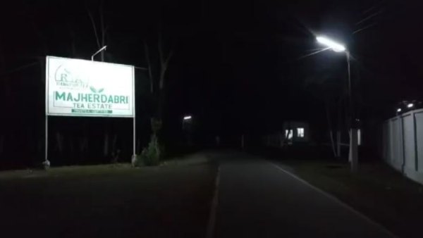 কোথায় হয় এই মুনলাইট চা কোথায় হয় এই মুনলাইট চা