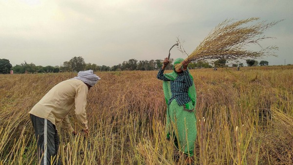 গ্রামের নামটি ‘স্ন্যাপডিল ডট কম’ গ্রামের নামটি ‘স্ন্যাপডিল ডট কম’