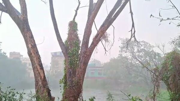 কলকাতার আবহাওয়া কলকাতার আবহাওয়া