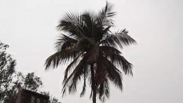 ১৭ থেকে ২০ মার্চ কেমন থাকবে আবহাওয়া