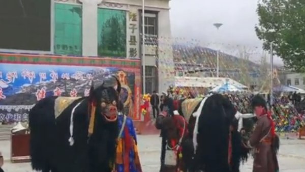 ইয়াক ডান্স দেখার অভিজ্ঞতা