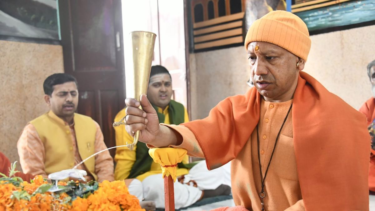 বাজারের থেকে অনেকটাই বেশি দাম পাবেন কৃষকরা বাজারের থেকে অনেকটাই বেশি দাম পাবেন কৃষকরা