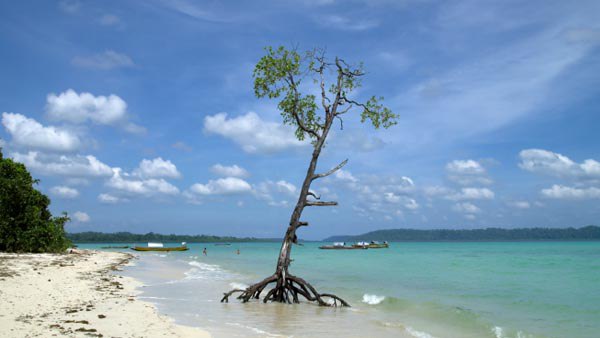 ভারতেই এমন রাজ্য রয়েছে যেখানে রেলব্যবস্থা নেই
