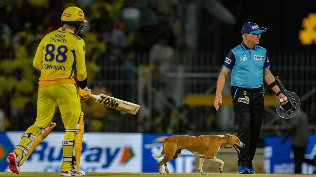 ভরসা দিল ব্যাটিং ভরসা দিল ব্যাটিং