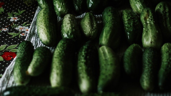 ফ্রি র্যা ডিকেল কমাতে পারে শশা ফ্রি র্যা ডিকেল কমাতে পারে শশা