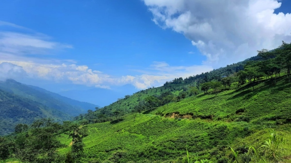 অফবিট উত্তরবঙ্গ