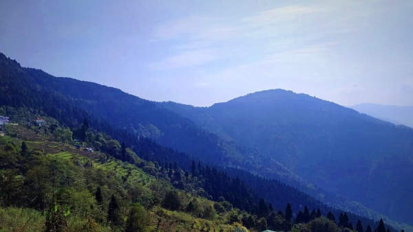 দার্জিলিং শহর থেকে কতদূরে?