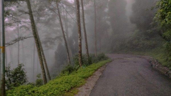 কীভাবে যাবেন 
