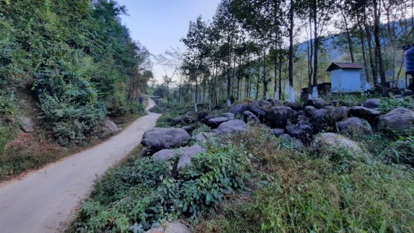 হাঁটা পথেই সৌন্দর্য