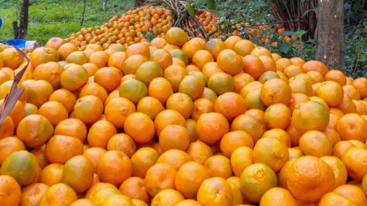পাহাড়ি খাবারের স্বাদ