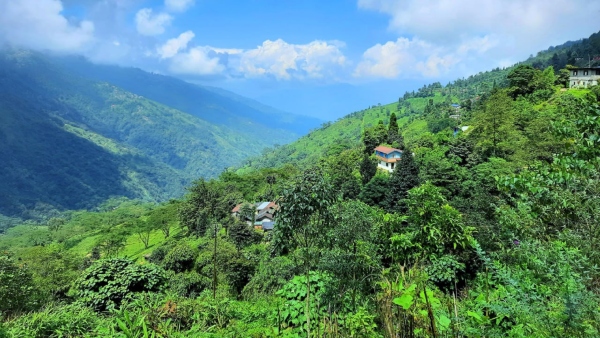 উত্তরবঙ্গের উটি