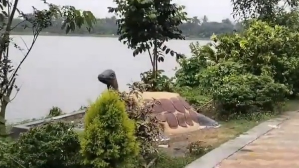 কোথায় রয়েছে এই মিনি মিরিক কোথায় রয়েছে এই মিনি মিরিক