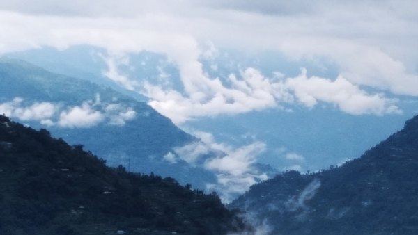 পালমাজুয়া পালমাজুয়া