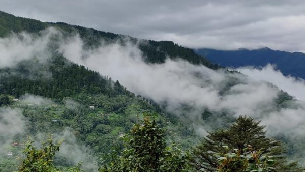 কোথায় রয়েছে পালমাজুয়া কোথায় রয়েছে পালমাজুয়া