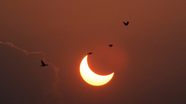 কর্ক কর্ক