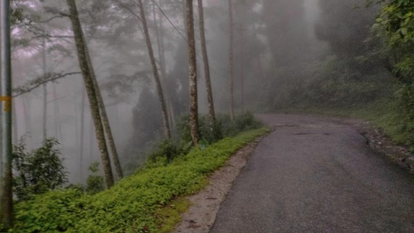 জঙ্গলের রাস্তায় ভ্রমণ