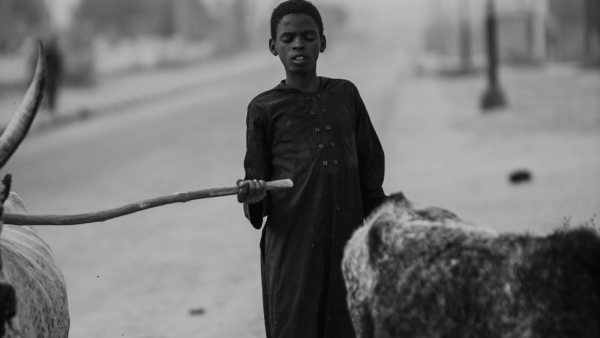 এমনকী গৃহপালিত পশুরাও, জানেন সেই গ্রামের ঠিকানা