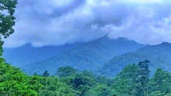 Dalgaon 