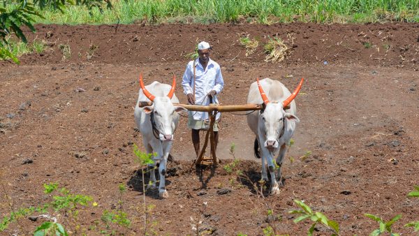 বাংলার অর্থনীতির পতন ঘটে চলেছে সময়ের সঙ্গে সঙ্গে