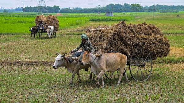 বাংলার অর্থনীতির পতন ঘটে চলেছে সময়ের সঙ্গে সঙ্গে