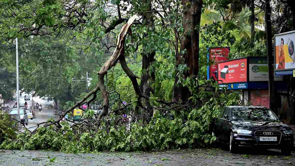 গাড়িতে আটকে মৃত্যু তরুণীর, শোকপ্রকাশ মুখ্যমন্ত্রী গাড়িতে আটকে মৃত্যু তরুণীর, শোকপ্রকাশ মুখ্যমন্ত্রী
