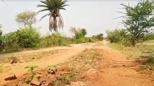পঞ্চায়েত ভোট