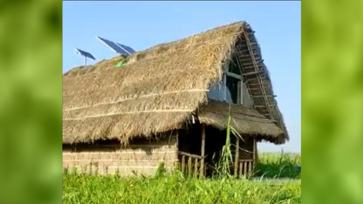 নতুন অ্যাডভেঞ্জার নতুন অ্যাডভেঞ্জার