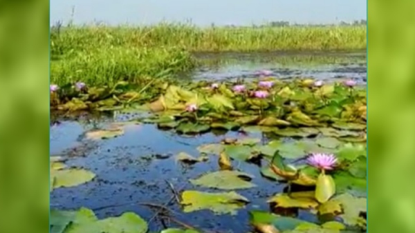 কোথায় আছে এই হোম স্টে কোথায় আছে এই হোম স্টে