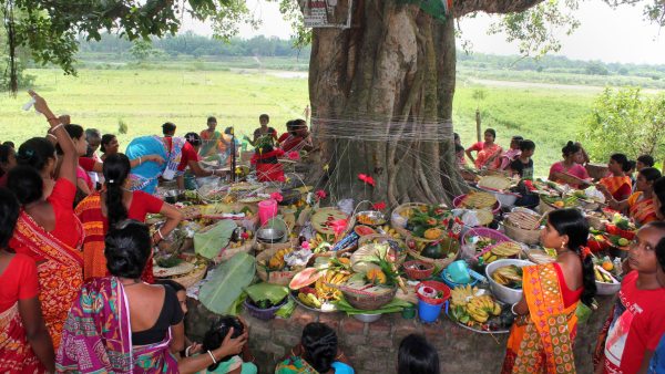 জামাইষষ্ঠী জামাইষষ্ঠী