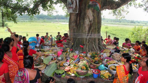 কবে পালিত হবে জামাইষষ্ঠী? কবে পালিত হবে জামাইষষ্ঠী?