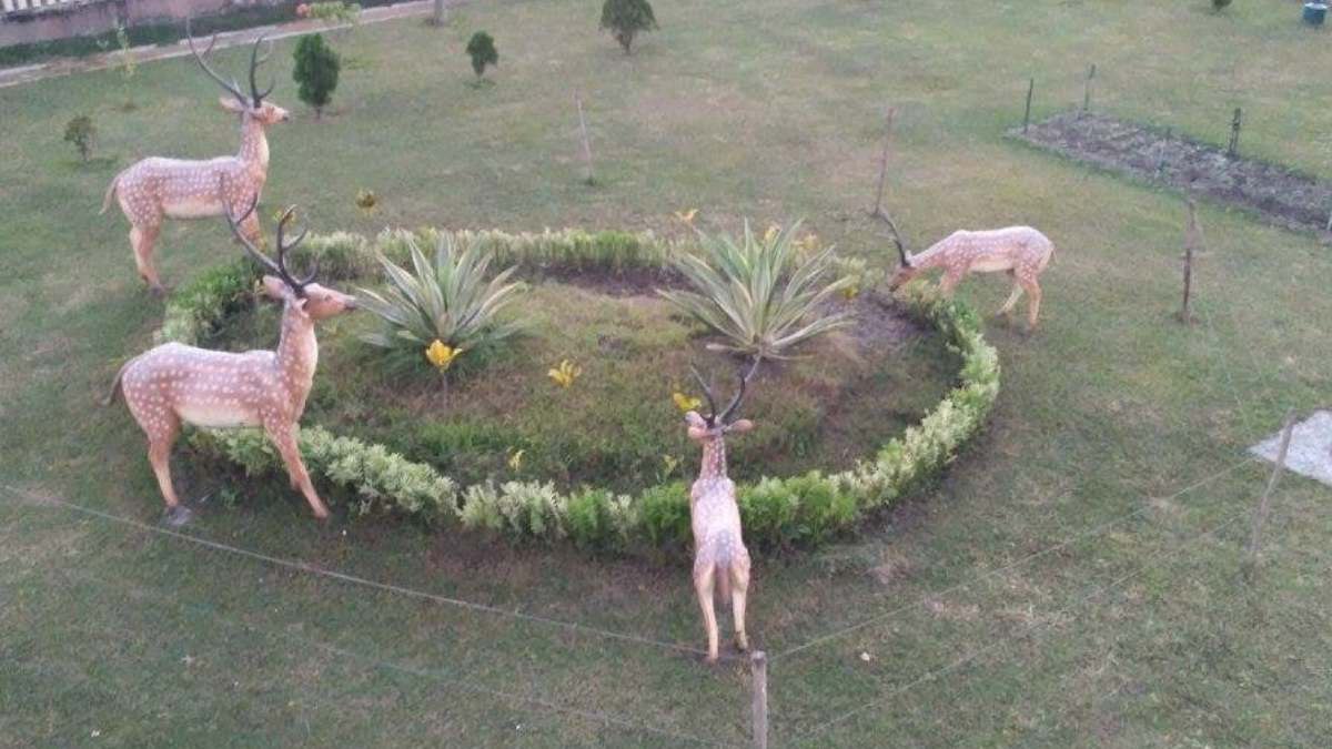 অ্যালিস ইন ওয়ান্ডার ল্যান্ড