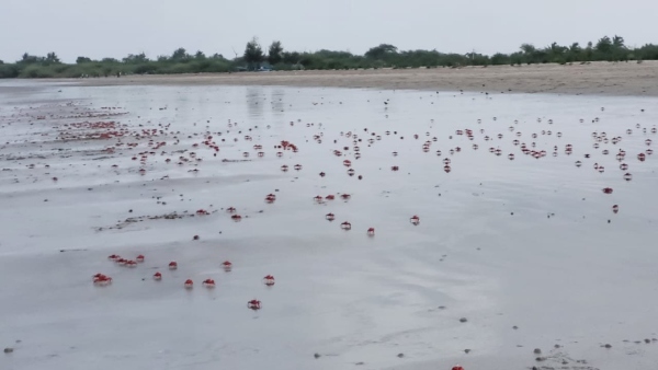Lalgunj sea beach Lalgunj sea beach
