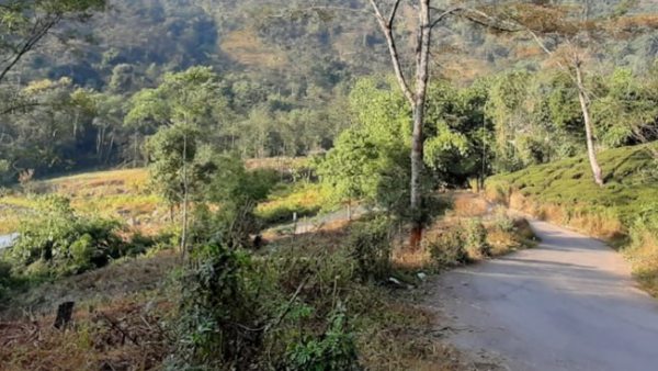 দার্জিলিংয়ের কাছে কম খরচে বেড়ানোর অফবিট ডেস্টিনেশন