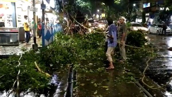 জেলায় জেলায় ঝড়বৃষ্টি! তিন মিনিটের কালবৈশাখীতে লণ্ডভন্ড কলকাতা-সহ বিভিন্ন জায়গা