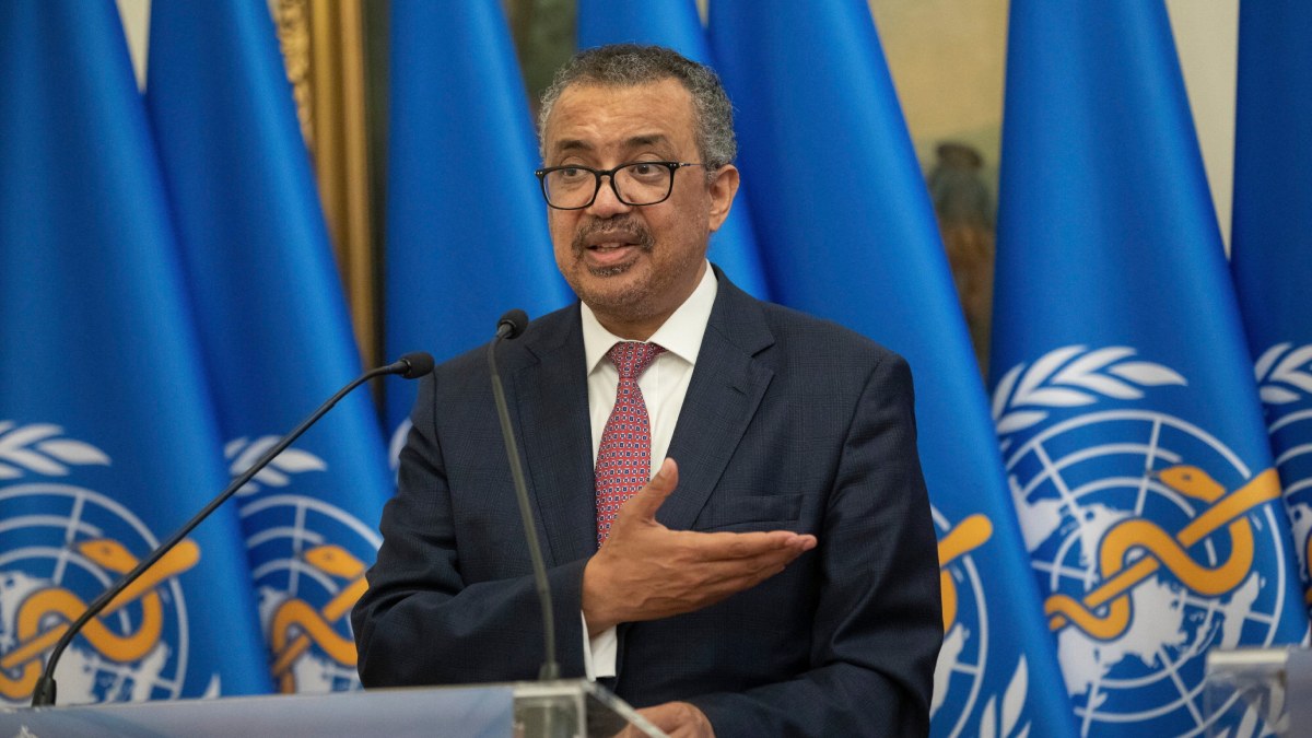 বিশ্ব স্বাস্থ্য সংস্থা বিশ্ব স্বাস্থ্য সংস্থা