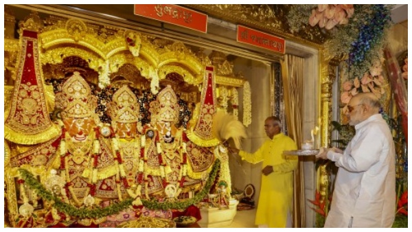 অমিত অমিত