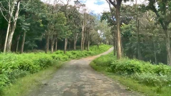 তালাকাবেরী